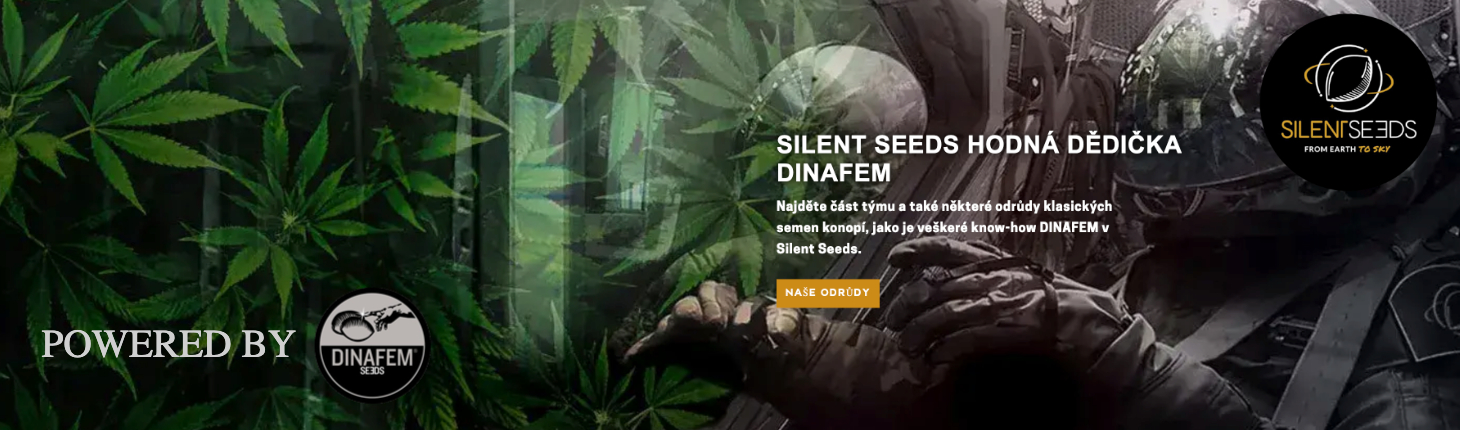 silent seeds